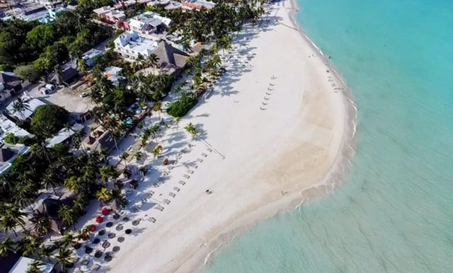 Lucen libres de sargazo las playas de Isla Mujeres