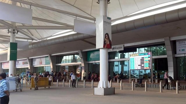 In Pune, the latest seizure on July 15 involved over 20 rare species—including Green Tree Pythons, Double-eyed Fig Parrots, and Sumatran Striped Rabbits—recovered from the baggage of a passenger flying in from Bangkok. (HT FILE)