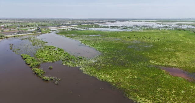 El agua se acumula en el Área Natural Protegida Lago de Texcoco hasta julio de 2025. Foto: CONANP.