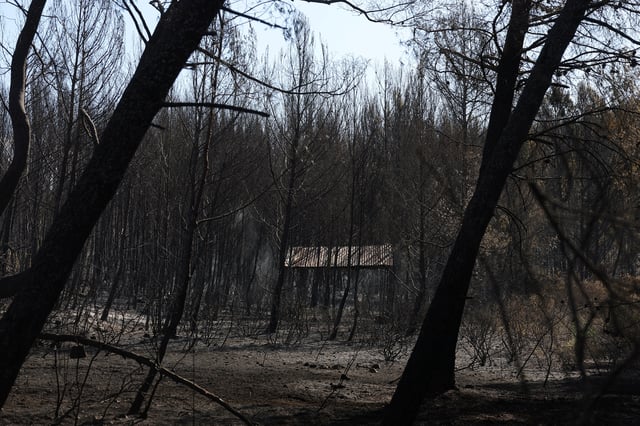 A burnt-out building stands among scorched trees following a wildfire in Martigues, near Marseille, France, July 18, 2025. REUTERS/Manon Cruz