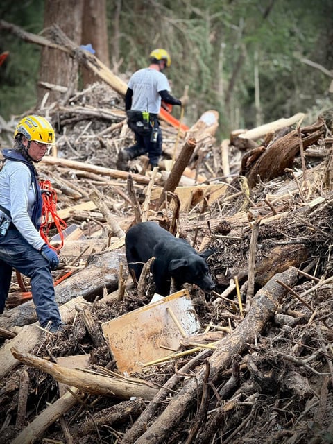 Workers and a dog look through piles of debris after flooding in Texas.