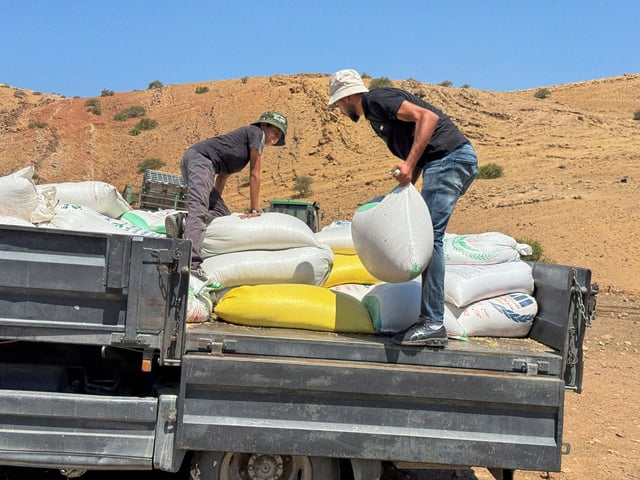 Palestinian Bedouins load a truck to move out a Bedouin community in the Jordan valley, in the Israeli-occupied West Bank, July 18, 2025. REUTERS/Sinan Abu Mayzer