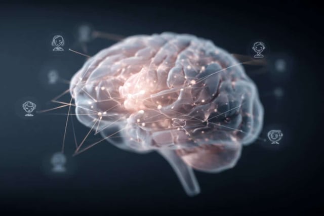 It has also been observed that this brain region shows greater activation in people with high levels of anxiety, possibly because anxiety is associated with negative affect during the interpretation of social concepts — such as feelings of inferiority when seeing a winner or intense guilt when making mistakes. Credit: Neuroscience News