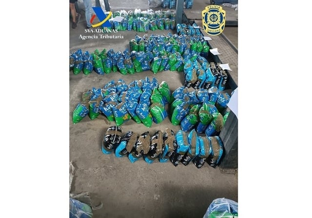 Cocaína intervenida mezclada con arena de gato