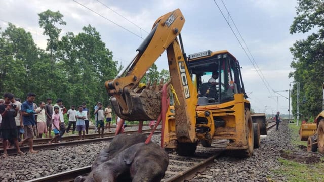 Animal rights activists have alleged that hulla teams (villagers engaged by the forest department to drive away elephants) were chasing the elephants when they moved to the railway tracks