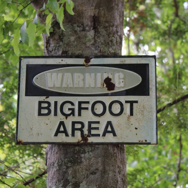 Whether you believe in the mythical cryptid or not, he's coming to a phone near you.