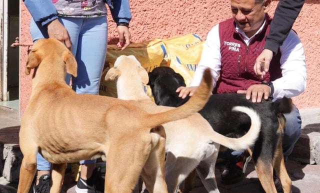 Respaldan animalistas a Carlos Torres Piña para Fiscalía de Michoacán