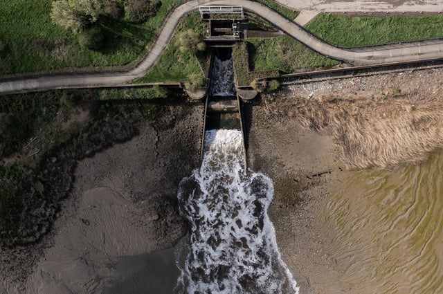 A serious pollution incidents increased from 33 in 2023 to 75 in 2024 (Photo: Getty)