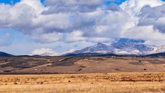 Reintroduced apex predators in Colorado are thriving and have formed three new family units, officials said.