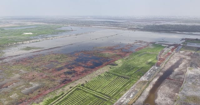 El Lago de Texcoco, en recuperación desde la cancelación del NAIM, aún es amenazado por intereses inmobiliarios y la contaminación. Foto: CONANP.