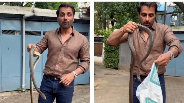 Actor Sonu Sood rescued a non-venomous rat snake in Mumbai, urging others to call professionals in such situations. 