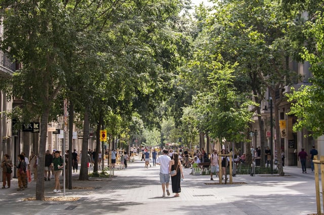 El Pla Calor 2025–2035 preveu la creació de 160 hectàrees addicionals de zones verdes