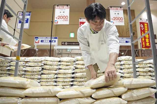 supermarket worker handles bags of reserve rice released from government stockpiles in Tokyo on 31 May 2025. Credit: Newscom / Alamy Stock Photo