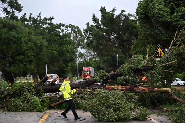 Rescue workers remove fallen trees on a road after Typhoon Wipha made landfall in Taishan, Guangdong province, China July 20, 2025. cnsphoto via REUTERS