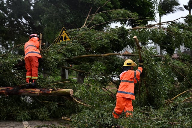Firefighters remove fallen trees on a road after Typhoon Wipha made landfall in Taishan, Guangdong province, China July 20, 2025. cnsphoto via REUTERS