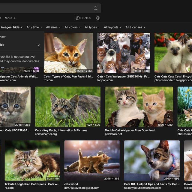 DuckDuckGo AI image filter