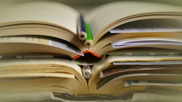 MoE in process of drafting bill for unified higher education body: MoS to Lok Sabha