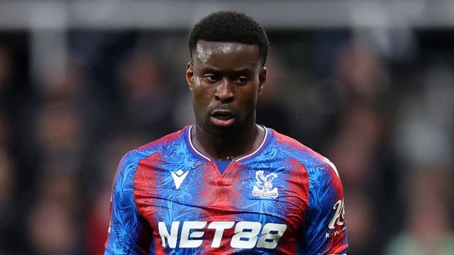 Newcastle United FC v Crystal Palace FC - Premier League