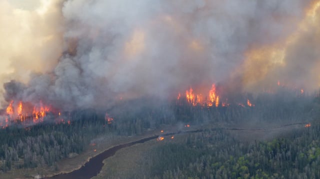 Le 29 mai 2025, des incendies ravagent les forêts du parc de Nopiming, dans la province canadienne du Manitoba.