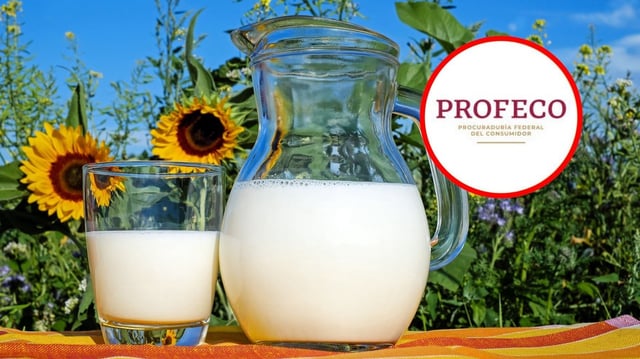 Marcas de leche que no es leche según profeco / especial