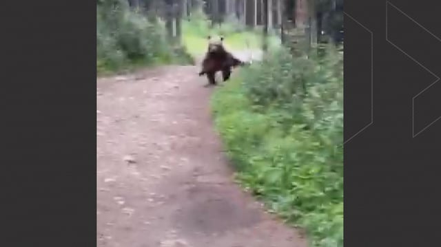A screenshot shows the heart-stopping moments when Howard Mah and Lori Arnason were followed by a grizzly bear while on a hike in Kananaskis country on July 19.