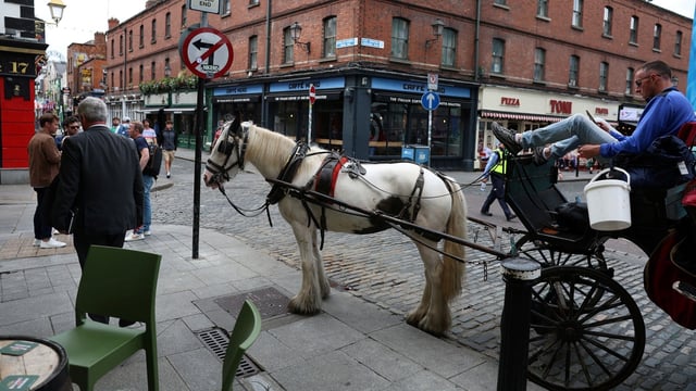 The attack in Dublin is being investigated as a potential hate crime, sources said.