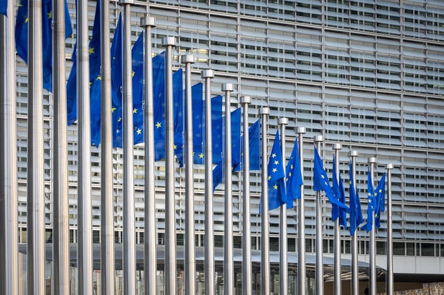 L’acétamipride est toujours légal dans l’Union européenne, même si des incertitudes sur sa neurotoxicité ont conduit à une baisse significative des seuils autorisés en 2025 (image d’illustration).
