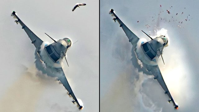 The gull flew into the path of the Typhoon at the Aire 25 show in Murcia