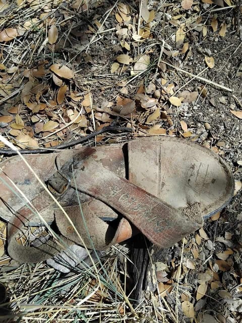 Colectivo encuentra restos oseos de por lo menos seis personas en Pitiquito