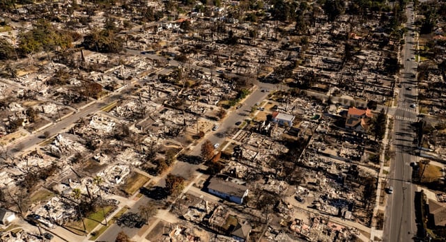 Thousands of acres were burned when huge fires ripped through the Los Angeles area in January