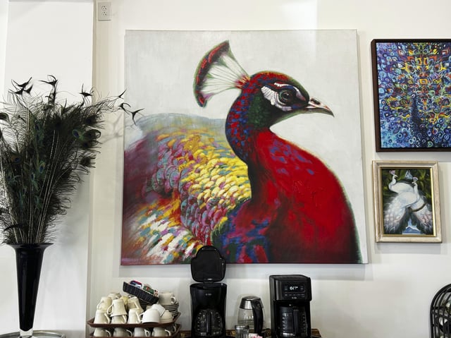 A painting of a peacock is seen at the Ryde Hotel, where dozens of the birds have gone missing, Tuesday, July 22, 2025, in Walnut Grove, Calif. (AP Photo/Terry Chea)