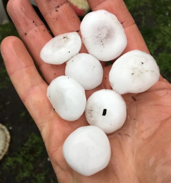 A handful of some large hailstones that fell in Calgary in July 2021. The area stretching from High River, just south of Calgary, to central Alberta is known as Canada's “Hailstorm Alley” and normally gets about 40 hailstorms every summer.