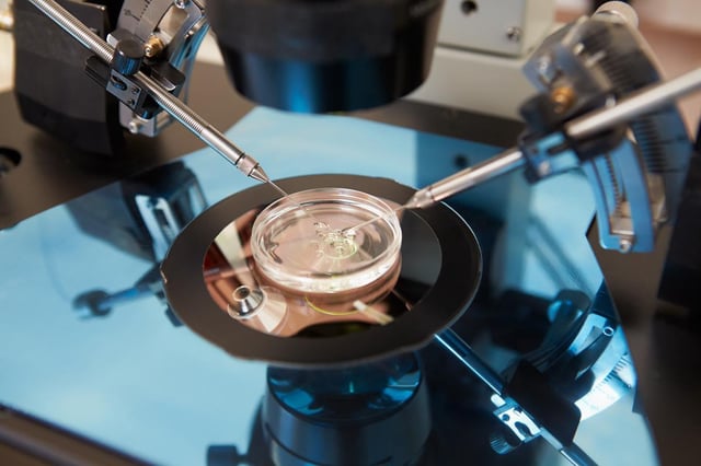 Australian IVF patients have had their personal details and medical records published on the dark web. 