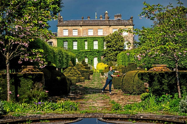 Dans les jardins de Highgrove (comté de Gloucestershire), dans le sud-ouest de l'Angleterre , la résidence privée du roi Charles III et de la reine Camilla, en mai 2024.
