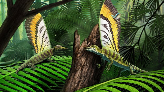 Mirasaura