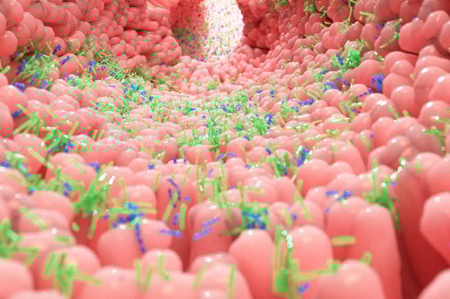 © Alpha Tauri 3D Graphics via Shutterstock