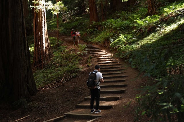 Hikers visit Muir Woods National Monument in May 2025.