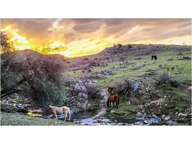 La localidad de Villa Ventana es ideal para los amantes de la naturaleza.