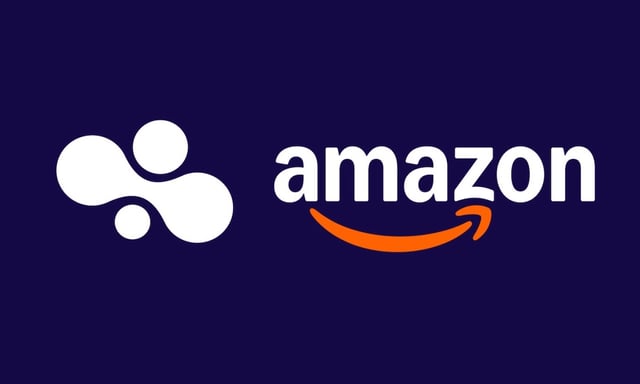 Bee, Amazon, acquisitions