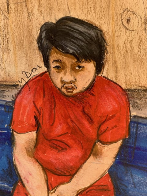 Kai-Ji Adam Lo is facing a two-day hearing to determine his fitness to stand trial on 11 counts of second-degree murder.