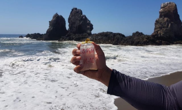 Playas de Michoacán, aptas para uso recreativo durante el verano