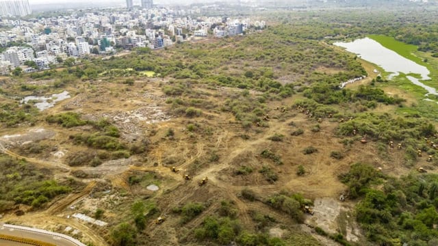 In April, the Supreme Court issued orders to stop all deforestation activity undertaken in the 400 acres of Kancha Gachibowli area by the Telangana government (PTI)
