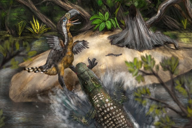 Terror bird study