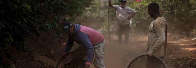 Sifting coffee beans in Porciuncula, Rio de Janeiro state, Brazil. (AP Photo/Bruna Prado)