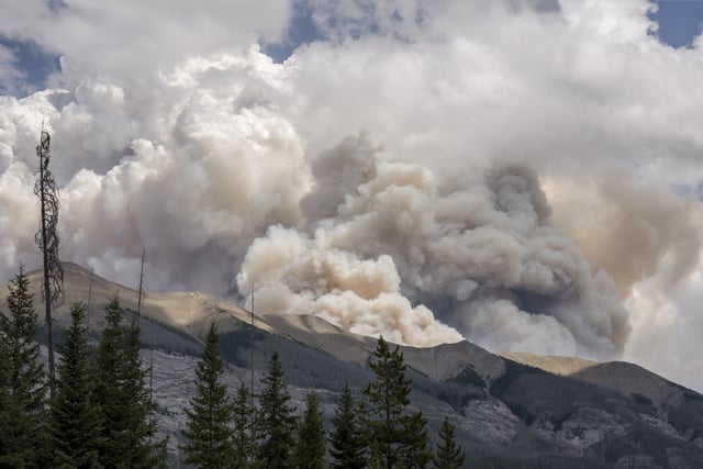 Burning forest fire in British Columbia in Kootenay National Park.