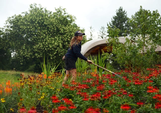 A horticulturalist works on the new Carbon Garden, a permanent installation highlighting the role of plants and fungi in tackling climate change, at Kew Gardens in London, Britain, July 24, 2025. REUTERS/Isabel Infantes