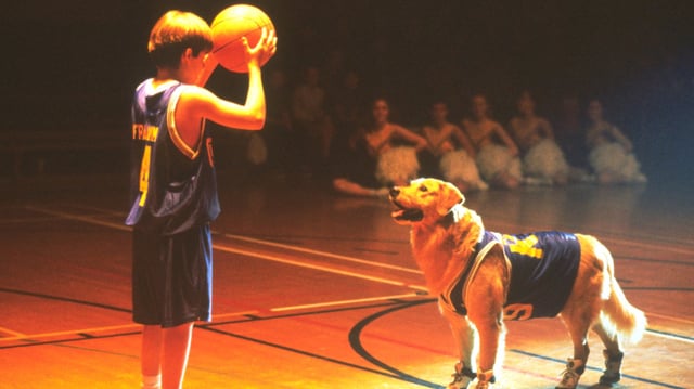 A still from &#34;Air Bud&#34;