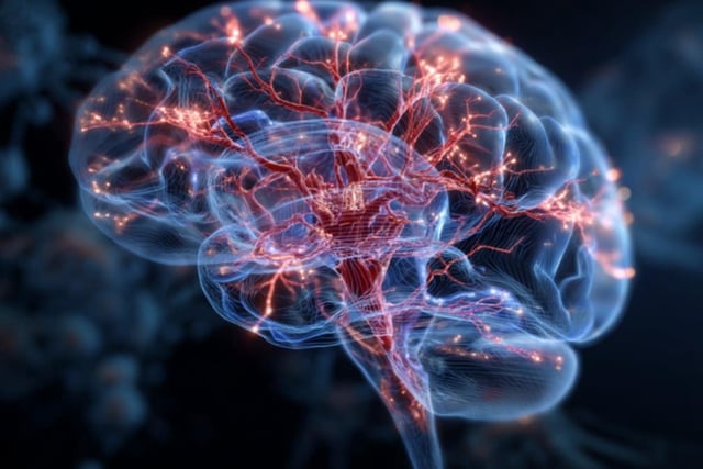 Why do some brain regions deteriorate rapidly while others remain largely intact? Credit: Neuroscience News