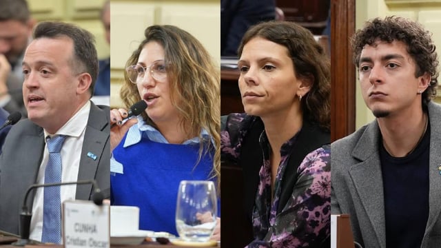
         Reforma constitucional. Los convencionales del Partido Socialista