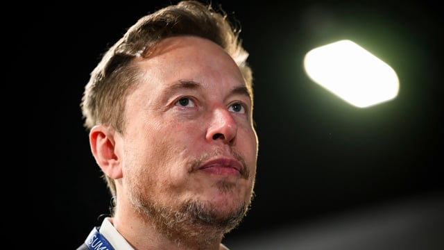 Elon Musk reacted to a post shared by X’s product head Nikita Bier. 